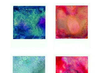 Ausstellung „Instant Pictures Unseen“ zeigt fragmentierte Körper Polaroid Paintings