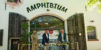 Revierleiter Revin Meyer, Zoo-Geschäftsführer Andreas Casdorff und Frogs and Friends-Chef Björn Encke eröffnen das neue Amphibium im Erlebnis-Zoo