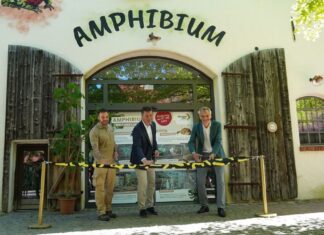 Erlebnis-Zoo Hannover eröffnet neues Amphibienhaus Revierleiter Revin Meyer, Zoo-Geschäftsführer Andreas Casdorff und Frogs and Friends-Chef Björn Encke eröffnen das neue Amphibium im Erlebnis-Zoo