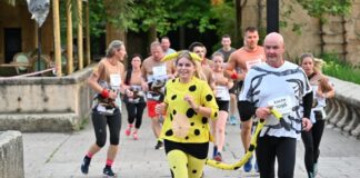 Zoo-Run-2024