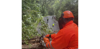 Am heutigen Nachmittag rückte die Feuerwehr Hannover zu mehreren unwetterbedingte Einsätzen aus