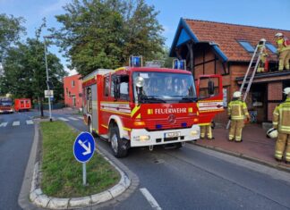 Rauchentwicklung auf dem Dach einer Bushaltestelle in Kaltenweide Rauchentwicklung auf dem Dach einer Bushaltestelle in Kaltenweide