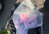 Zwei Kontrollen dabei fünf Festnahmen und insgesamt fast sieben Kilogramm Drogen beschlagnahmt