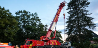 Feuerwehr-Höhenrettung-Baumfällung