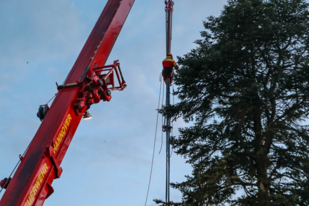 Feuerwehr-Höhenrettung-Baumfällung