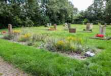 Kostenloser Rundgang über den Friedhof Grenzheide am 2. Juli Neue Bestattungsformen in Langenhagen: Staudeninsel und Ruhehain