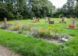 Informativ und einfühlsam: Spaziergang über den Friedhof Grenzheide am 10. Juli Neue Bestattungsformen in Langenhagen: Staudeninsel und Ruhehain