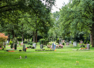 Neue Bestattungsformen in Langenhagen: Staudeninsel und Ruhehain