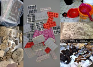 Hauptzollamt Hannover zieht Bilanz für 2023 Hauptzollamt Hannover zieht Bilanz für 2023