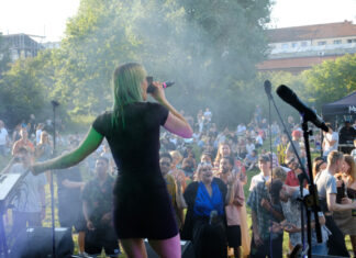 Vahrenwald Open Air Konzert im Vahrenwalder Park Vahrenwald Open Air