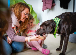 Kita Isernhagen F.B. feiert den Dobby-Donnerstag Kitahund Dobby in der Kita Isernhagen F.B.