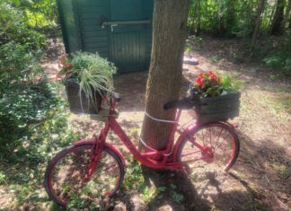 NAJU-Langenhagen lädt zum „Tag der offenen Insel“ Naturinsel