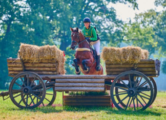 Nach Olympia kommt Twenge Vanessa Bölting - Pferd springt über einen Ackerwagen