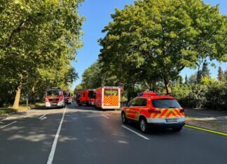 Brand einer Gartenlaube in der Kleingartenkolonie Waldwinkel Brand einer Gartenlaube in der Kleingartenkolonie Waldwinkel an der Hermann-Bahlsen-Allee