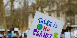 Plakat - Da ist kein zweiter Planet / Klimawandel