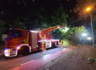 Großer Baum blockiert Straße: Feuerwehr Garbsen stundenlang im Einsatz Umgestürzter Baum beschäftigt Feuerwehr
