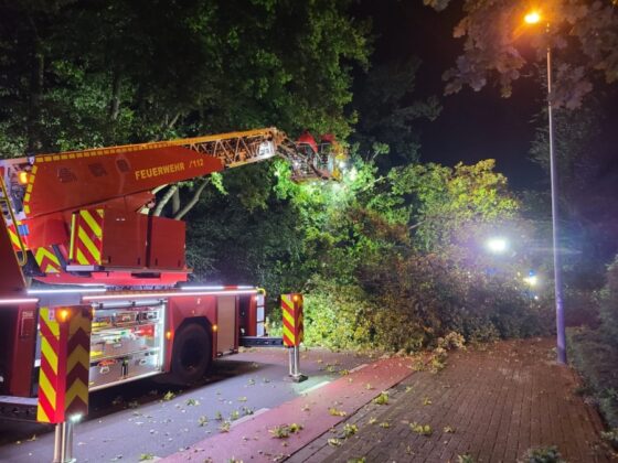 Umgestürzter Baum beschäftigt Feuerwehr