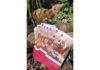 Flyer: Herbstferien in Langenhagen
