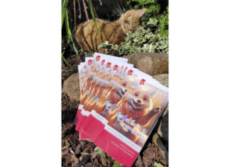 Herbstferien in Langenhagen: Erlebnisangebote für Kinder und Jugendliche Flyer: Herbstferien in Langenhagen