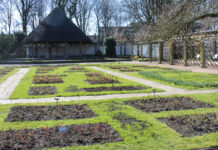 Rosengarten im Stadtpark Hannover (Archivbild)