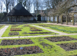 Rosengarten im Stadtpark Hannover: Modernisierung und Neugestaltung gestartet Rosengarten im Stadtpark Hannover (Archivbild)