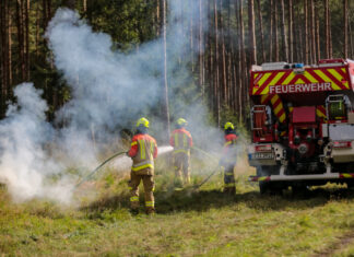Länderübergreifende Großübung „Eichkater 2024“: Niedersachsen und Bayern üben gemeinsam die Bekämpfung von Vegetationsbränden Übung Eichkater 2024