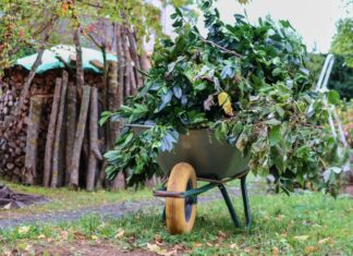 Grüngutannahmestellen ein Beitrag für den Klimaschutz Grüngut/Grünschnitt in Schubkarre