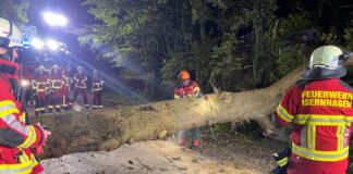 Feuerwehr Altwarmbüchen räumt Straßensperrungen durch umgestürzte Bäume in Altwarmbüchen und Gut Lohne