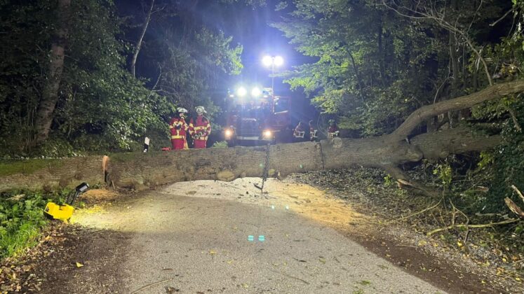 Feuerwehr Altwarmbüchen räumt Straßensperrungen durch umgestürzte Bäume in Altwarmbüchen und Gut Lohne