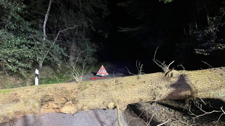 Feuerwehr Altwarmbüchen räumt Straßensperrungen durch umgestürzte Bäume in Altwarmbüchen und Gut Lohne