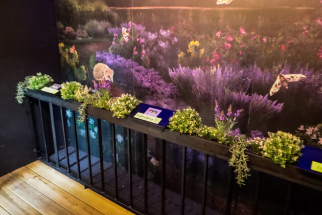 Neue Edutainmentstation "Insekten-Lichtblick" im Erlebnis-Zoo Hannover.