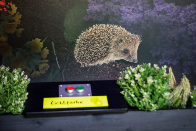 Neue Edutainmentstation "Insekten-Lichtblick" im Erlebnis-Zoo Hannover.