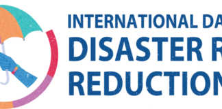 Logo: Int. Tag der Katastrophenvorbeugung