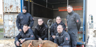 Kampfmittelbeseitigung - MHH Neubaugelände