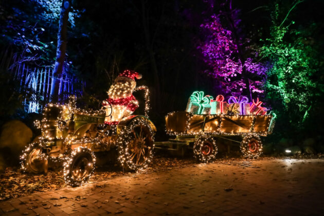 Christmas Garden Hannover