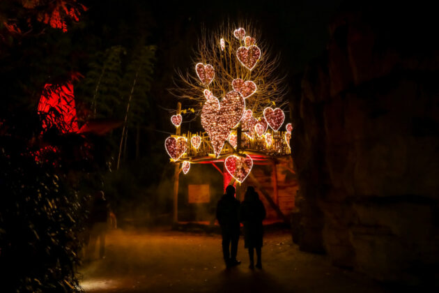 Christmas Garden Hannover