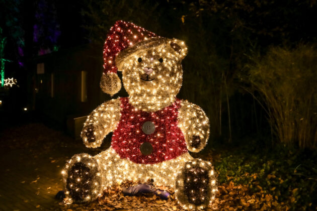 Christmas Garden Hannover