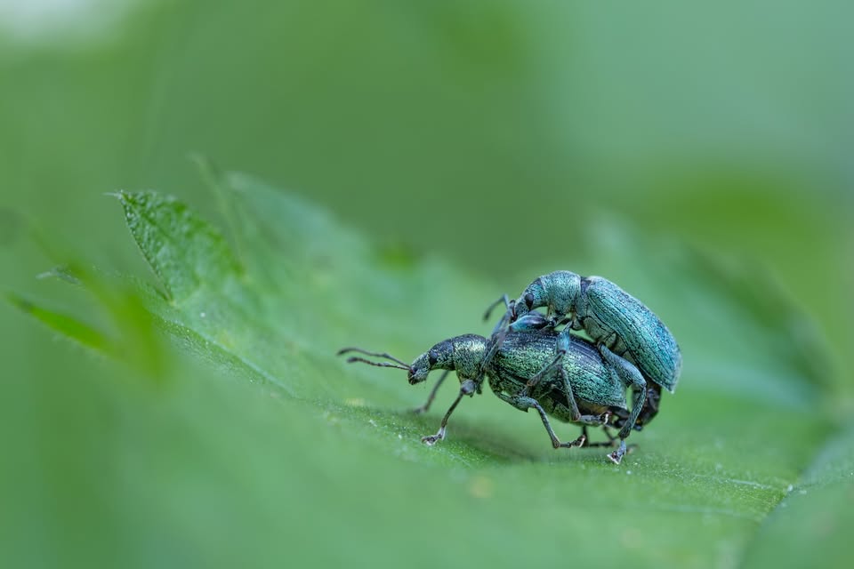 Fotoausstellung „Kleine Welt ganz groß“.