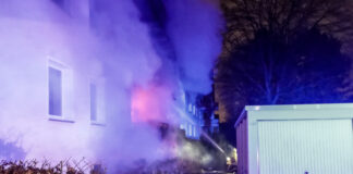 Wohnungsbrand in Wiesenau / Feuerwehreinsatz