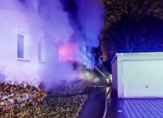 Wohnungsbrand in Wiesenau / Feuerwehreinsatz