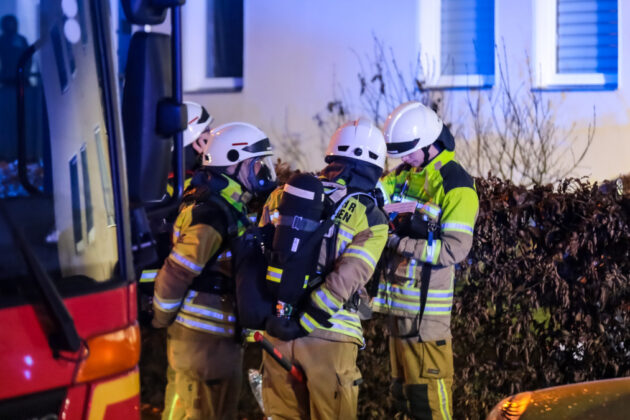 Wohnungsbrand in Wiesenau / Feuerwehreinsatz