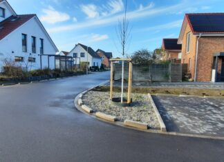 Langer Krummer Kamp zur Adventszeit fertiggestellt Langer Krummer Kamp zur Adventszeit fertiggestellt