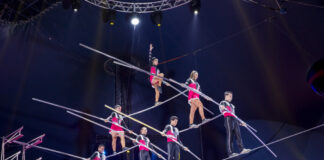 Weihnachtscircus Hannover