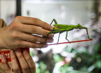 Tierisch spannend: Inventur 2024 im Erlebnis-Zoo Hannover Erlebnis-Zoo Hannover / Inventur