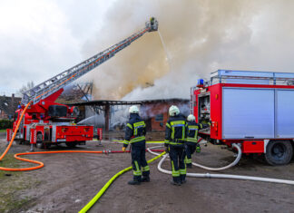 Scheunenbrand in Thönse: Feuerwehr rettet Tiere und bekämpft Großfeuer Scheune in Thönse in Vollbrand