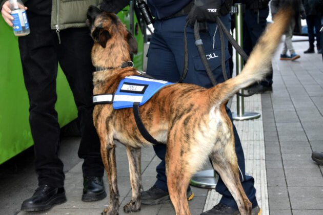 Insgesamt fünf Spürhunde bei Großkontrolle im Einsatz.