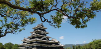 Burg Matsumoto