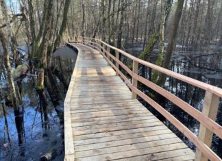 Neuer Steg am Moorerlebnispfad Resse Neuer Moorsteg