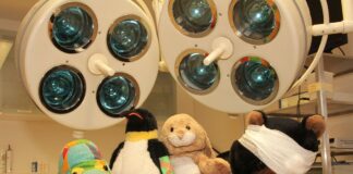 Stofftierklinik im Erlebnis-Zoo Hannover