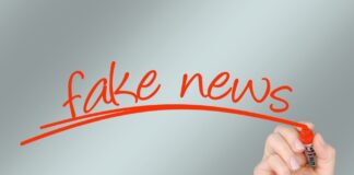 Grafik: Fake News